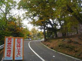 紅葉／青葉城址