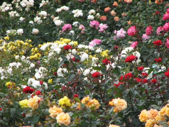 仙台市農業園芸センター