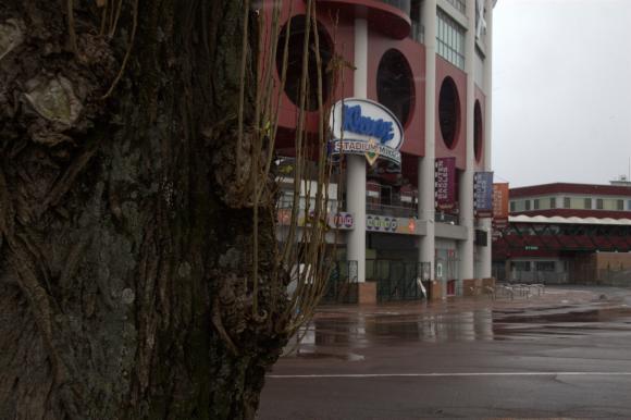 雪の宮城野原総合運動場