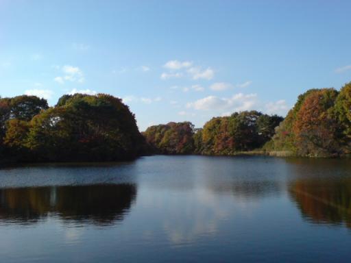 蟹のハサミ・大堤沼