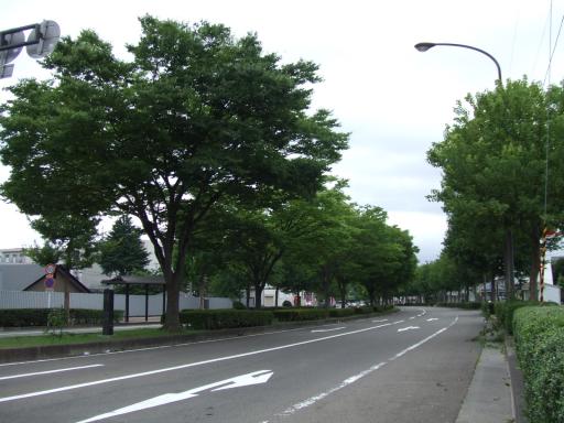 南光台より地下鉄台原駅方面へ