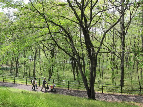 将監コミュニティ広場