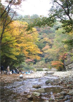 小さな秋　−奥新川の芋煮−