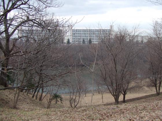 鶴ヶ谷中央公園