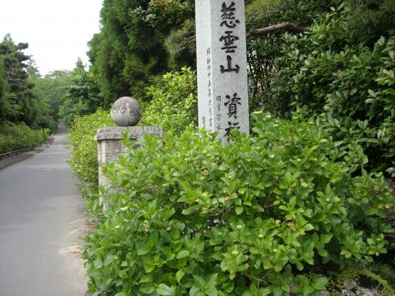 あじさい成長記　北山