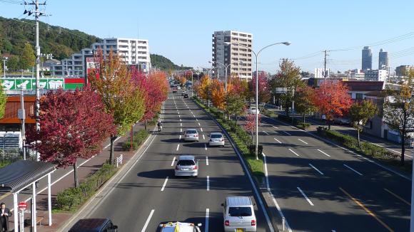 長町公園前歩道橋から