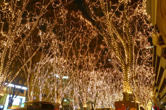 SENDAI 光のページェント 2013