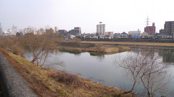 広瀬川の中州除去工事