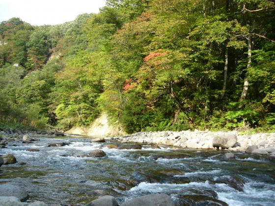 マイナスイオンたっぷり