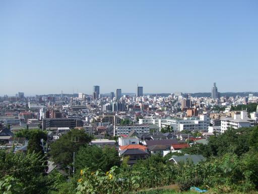 某所より市内を望む