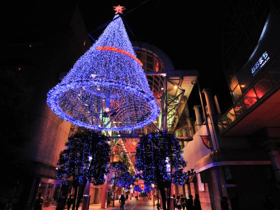 光樹の下にも光が