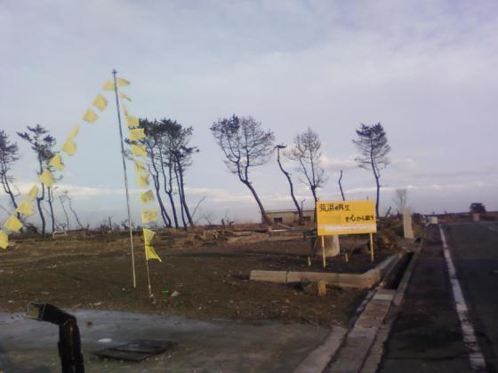 深沼の黄色いハンカチ