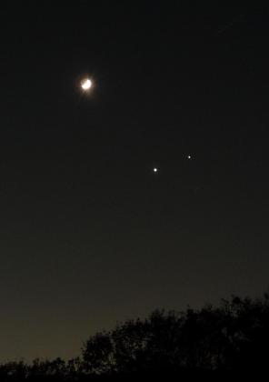 夜空に伊達政宗