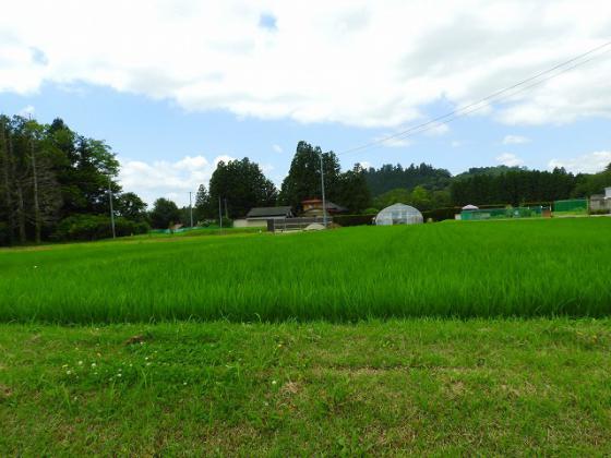 狩集　かりあつめ