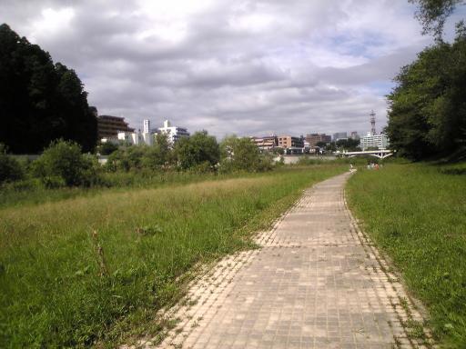 広瀬川遊歩道