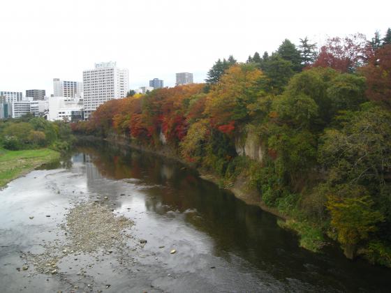 紅葉／仲の瀬橋から