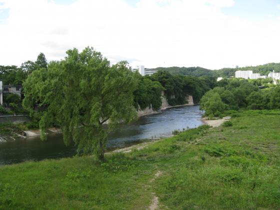初夏の広瀬川