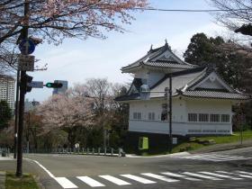 隅櫓と桜