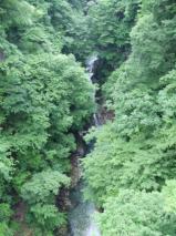 セイコウ大橋から