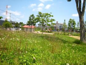 雨上がりの富沢南2丁目公園