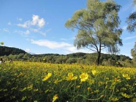 みちのく湖畔公園