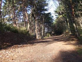 台原森林公園12月