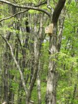 将監コミュニティ広場