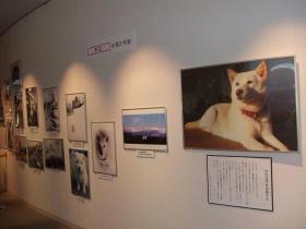 行ってきました天文台