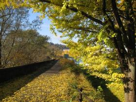 落葉／評定河原