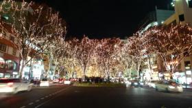 SENDAI 光のページェント 2008 その１