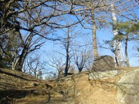 ロータリーの丘（大年寺山）