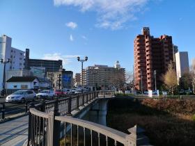 広瀬橋からの眺め