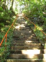鷲倉神社の姥杉