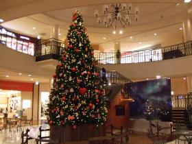 Tapio ビックツリー