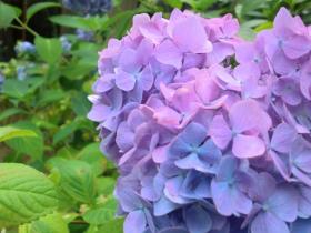 仙台「資福寺」