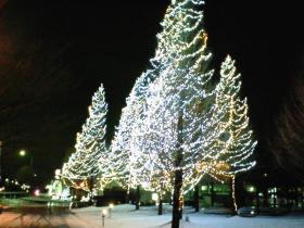 冬の泉パークタウン