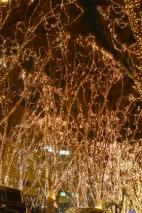 SENDAI 光のページェント 2013