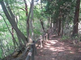青葉の森遊歩道