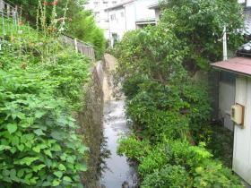 四ッ谷用水／八幡(2)