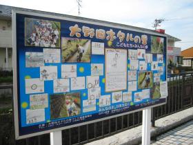 笊川（大野田ホタルの里）