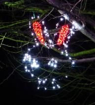 光のページェントWEST PARK 「復興の杜」/西公園