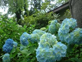 仙台「資福寺」