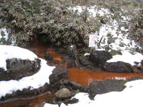 臨済院弁財天堂