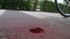 珍百景！？/太白区大野田