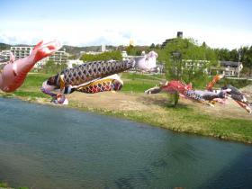 こいのぼり／澱橋