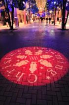 光樹の下にも光が