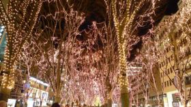 SENDAI 光のページェント 2009