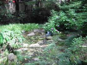 良覚院丁茶室　アプローチと前庭