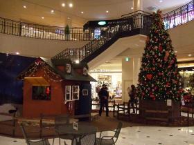 Tapio ビックツリー