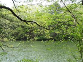 将監コミュニティ広場